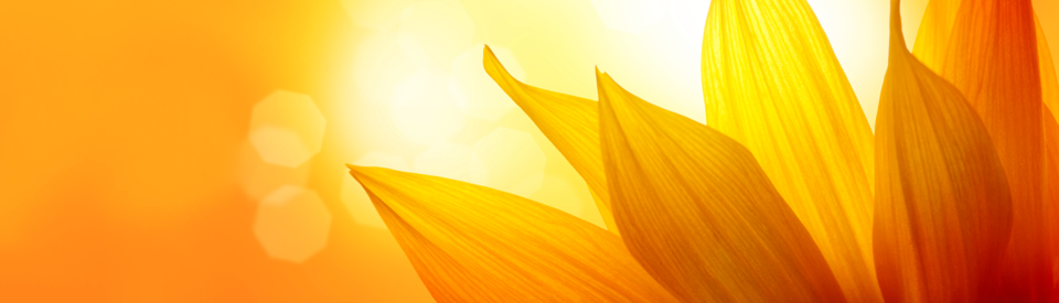 Sunburst